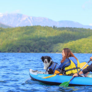 Dog & Air Canoe