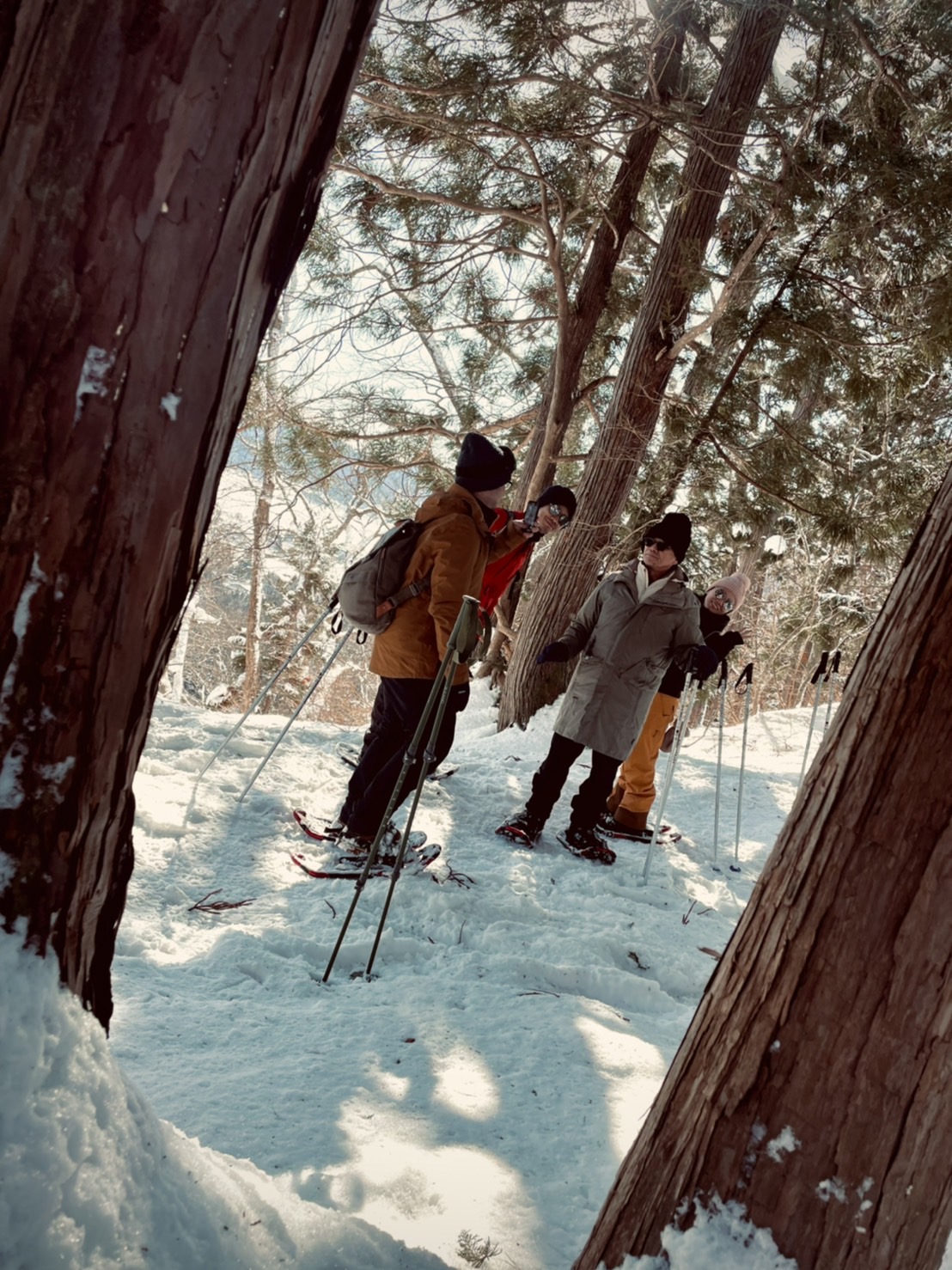 Snowshoe tour Hakuba Lion Adventure｜Hakuba Village, Nagano Prefecture
